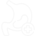 stomach
